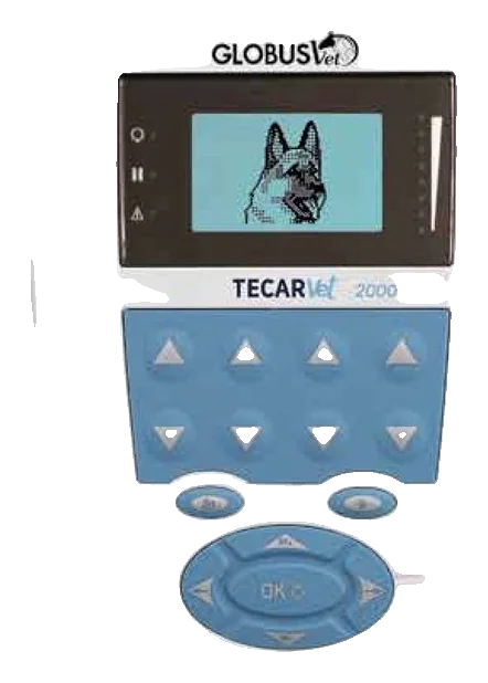 TECAR VET 2000